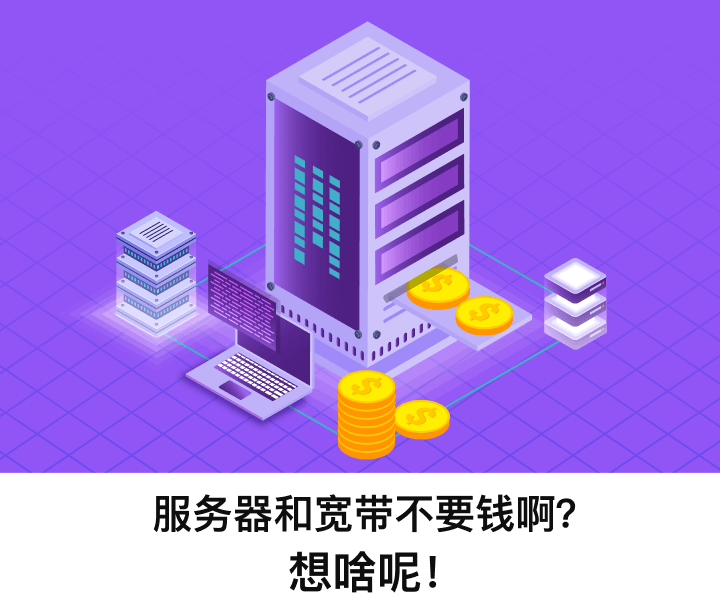 VPN服务器带宽成本分析