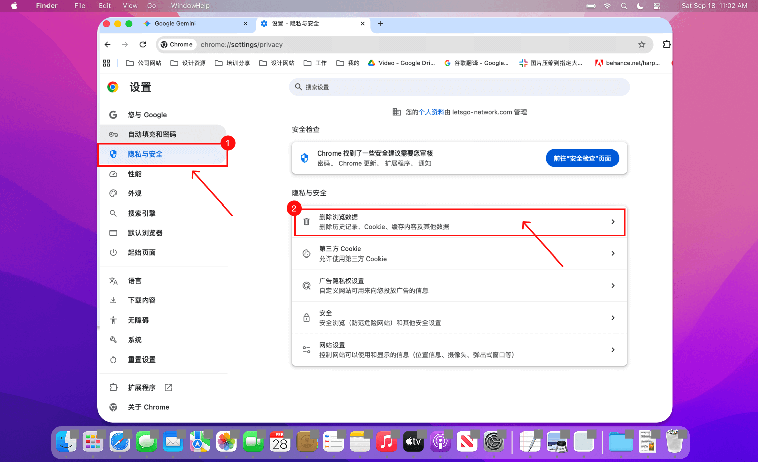 Gemini 提示流量异常怎么办？一篇文章教你搞定各种报错！