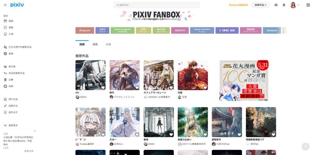 Pixiv 注册界面示例